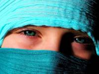 Destek Hizmetleri Dairesi Başkanlığı,Destek,Hizmetleri,Dairesi,Başkanlığı