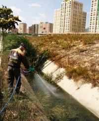 Vektörle Mücadele ve İlaçlama,