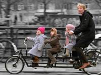 Bilgi Teknolojileri Şube Müdürlüğü,Bilgi,Teknolojileri,Şube,Müdürlüğü